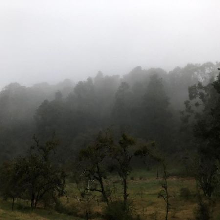 Cabana Romantica En El Bosque! Acaxochitlán 외부 사진