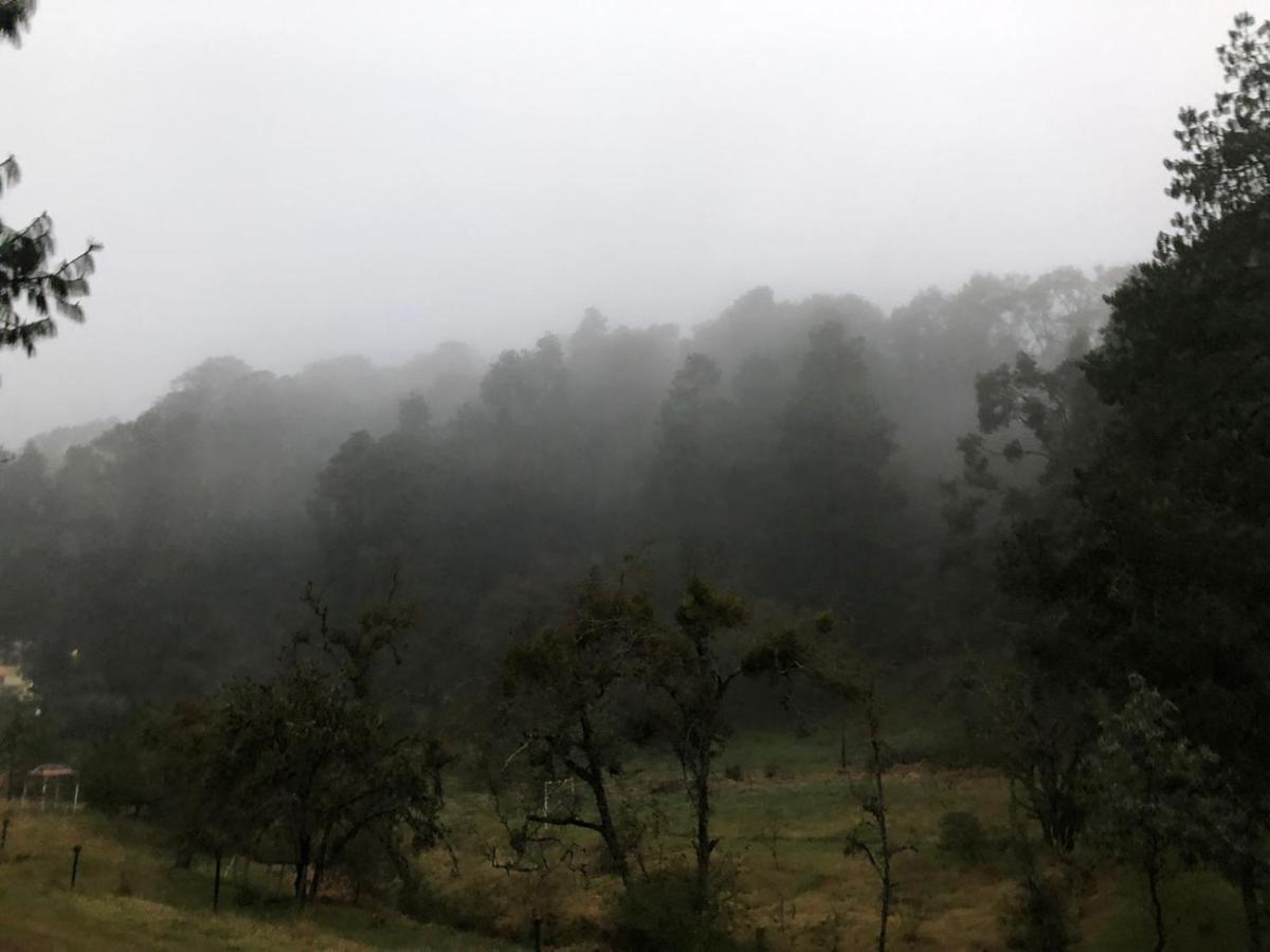 Cabana Romantica En El Bosque! Acaxochitlán 외부 사진